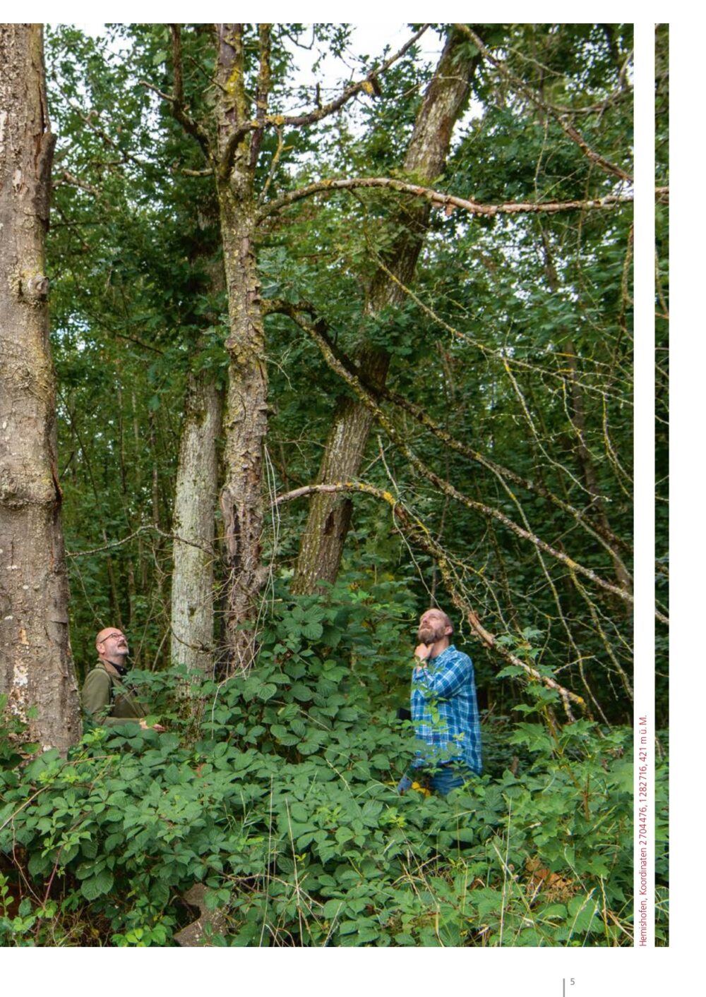 Folio 2021 de web 7 page 0001